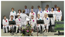 02-06-2013 Muziektuin (foto's Iris de Smit)